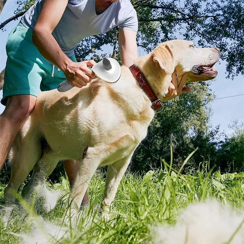 Escova para cães e gatos