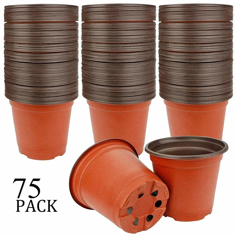 75 vasos de plantas