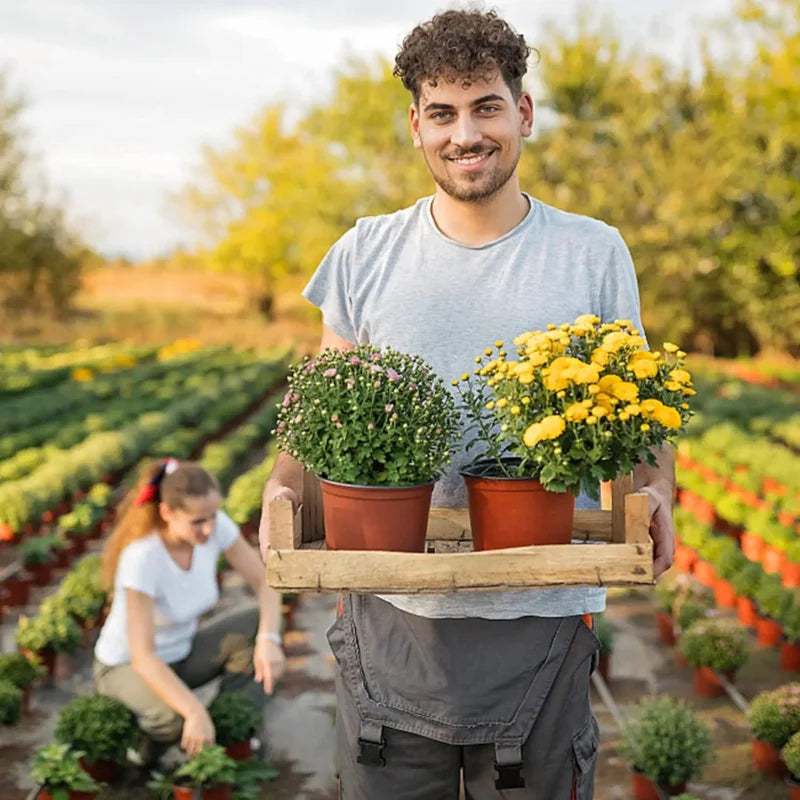 75 vasos de plantas