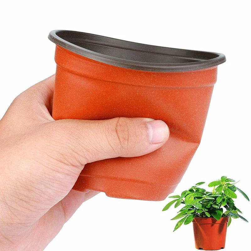 75 vasos de plantas